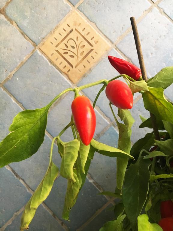 Sebeto Toledo Apartment Napoli Ngoại thất bức ảnh